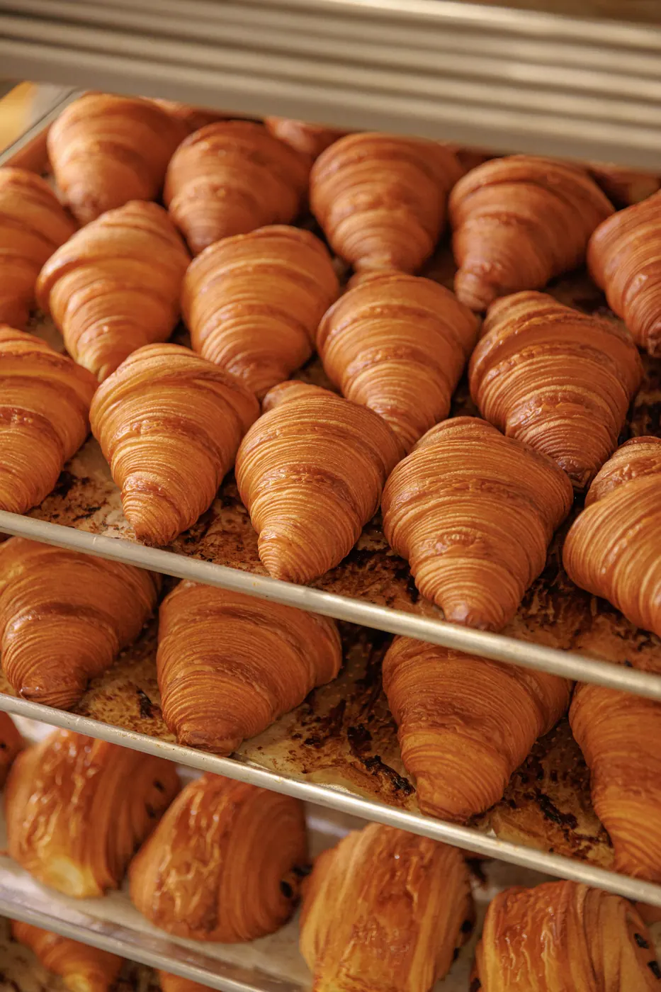 Fornada de croissants dourados em bandeja de alumínio