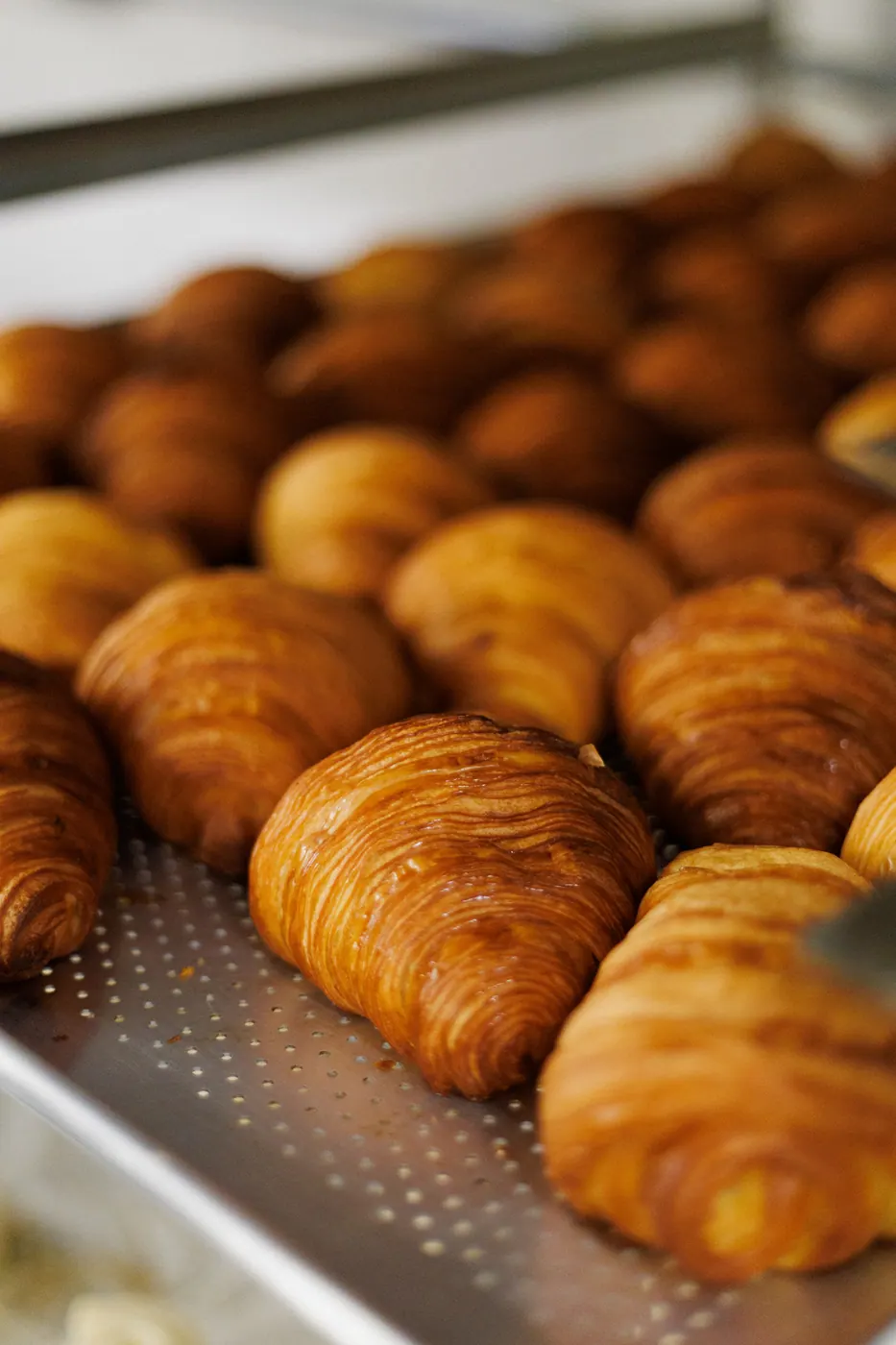Croissants assados em tabuleiro perfurado da Colha