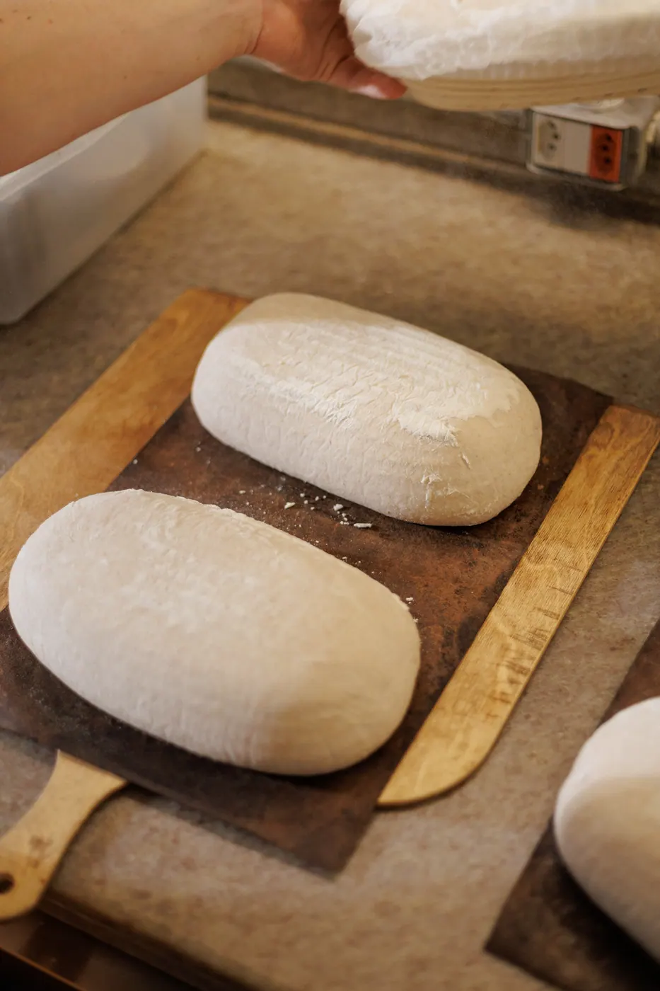 Massas de pão sourdough descansando em tábuas antes de assar