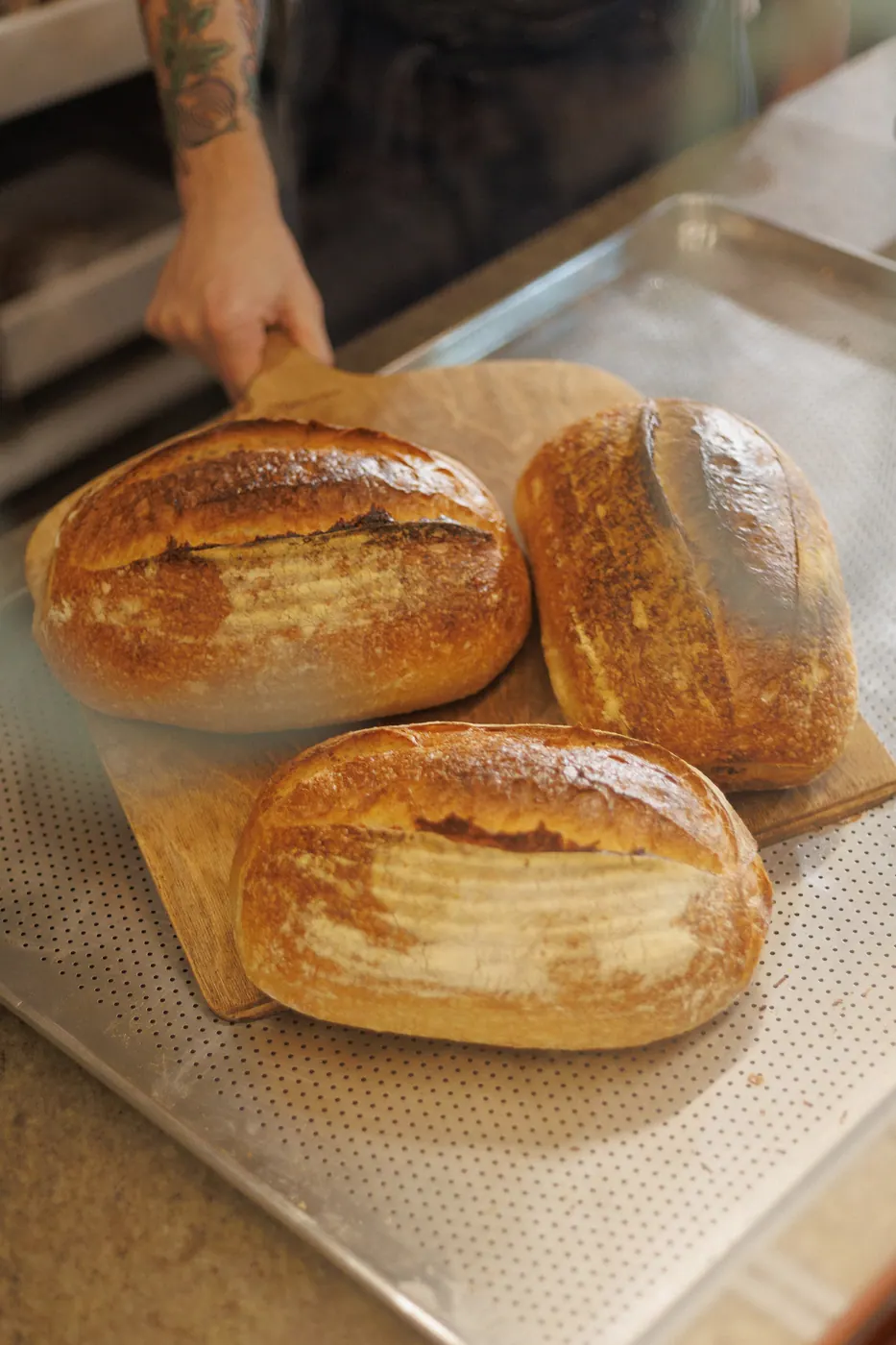 Pães sourdough de fermentação natural assados, com casca dourada e crocante